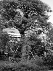 建邺注册公司